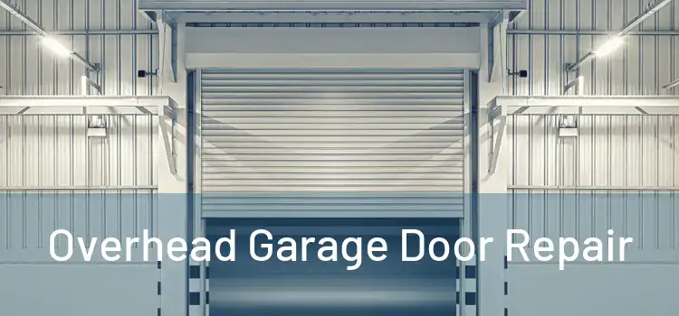  Overhead Garage Door Repair 